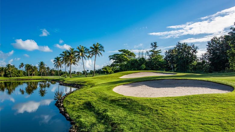 <b>Wyndham Grand Rio Mar Rainiforest Golf</b>. Images powered by <a href="https://iceportal.shijigroup.com/" title="IcePortal" target="_blank">IcePortal</a>.