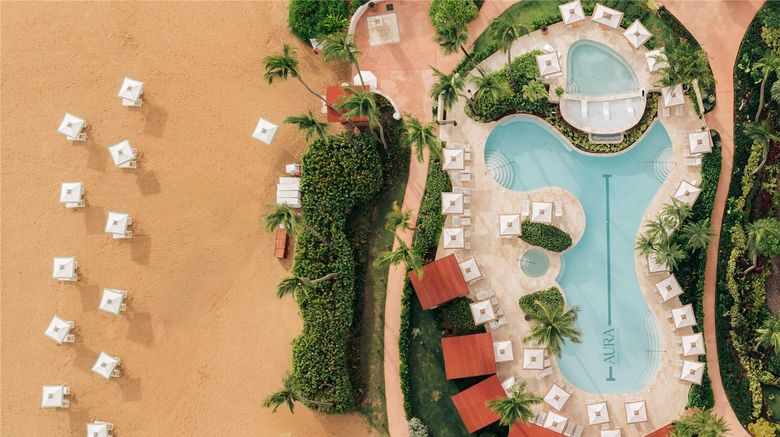 <b>Wyndham Grand Rio Mar Rainiforest Beach</b>. Images powered by <a href="https://iceportal.shijigroup.com/" title="IcePortal" target="_blank">IcePortal</a>.