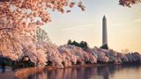 Hyatt Place Washington DC/White House Other