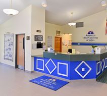 Americs Best Value & Sts Spring Valley Lobby