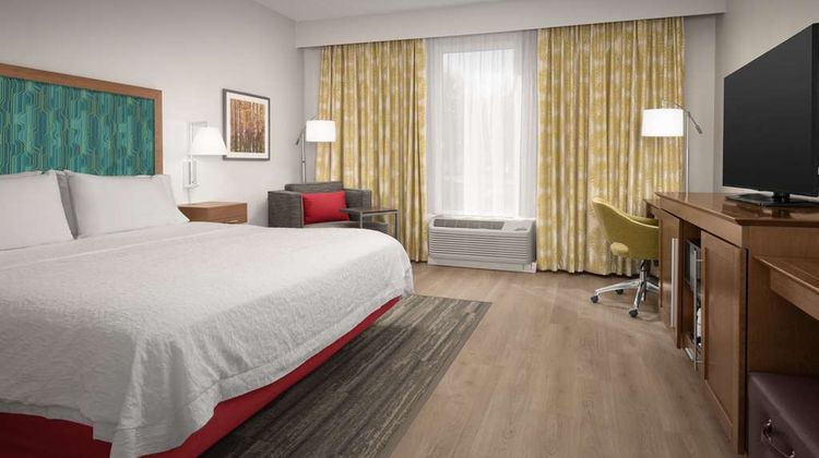 Hampton Inn & Suites Orangeburg Room