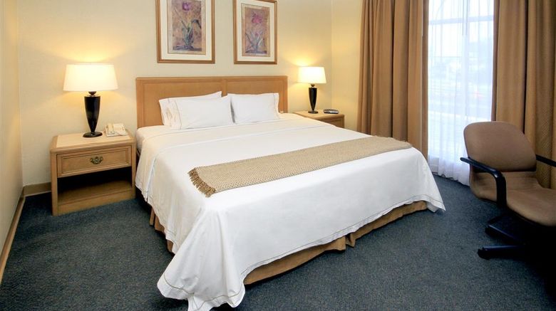<b>iStay Hotel Ciudad Victoria Room</b>. Images powered by <a href="https://iceportal.shijigroup.com/" title="IcePortal" target="_blank">IcePortal</a>.