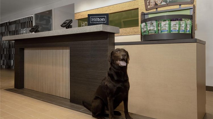 Home2 Suites by Hilton Anchorage/Midtown Other