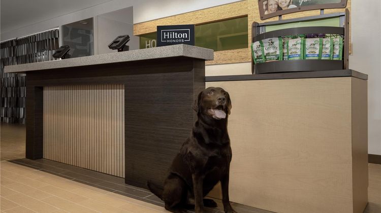 Home2 Suites by Hilton Anchorage/Midtown Other