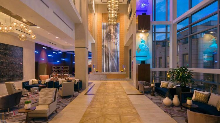 Hilton Norfolk The Main Lobby