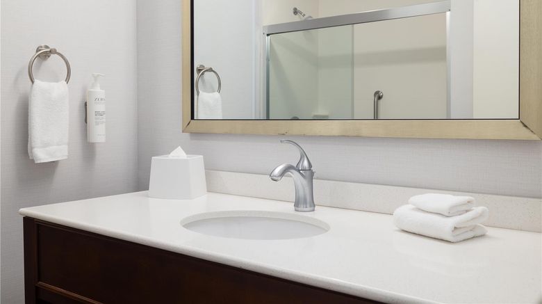 <b>Hampton Inn & Suites Roanoke-Downtown Room</b>. Images powered by <a href="https://iceportal.shijigroup.com/" title="IcePortal" target="_blank">IcePortal</a>.