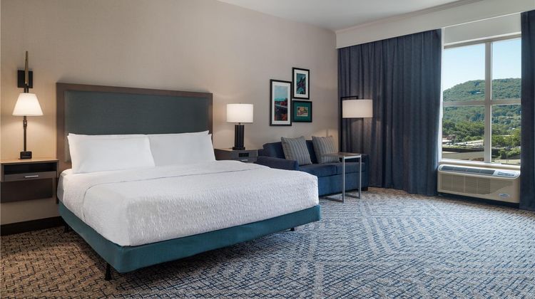 Hampton Inn & Suites Roanoke-Downtown Room