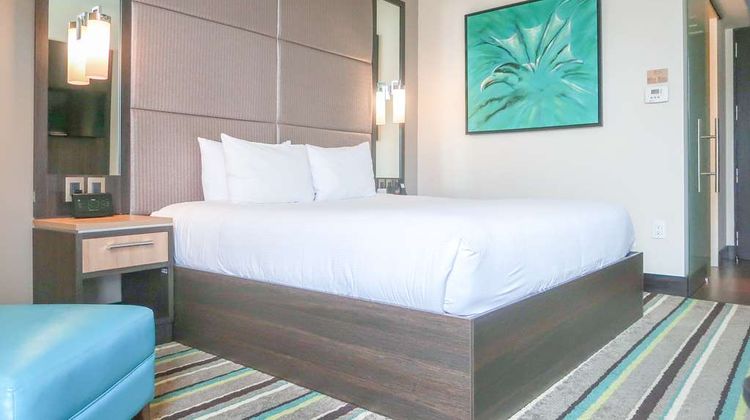 Hilton Garden Inn San Jose La Sabana Room