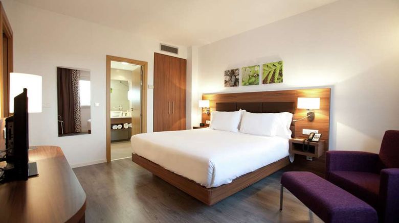 <b>Hilton Garden Inn Malaga Room</b>. Images powered by <a href="https://iceportal.shijigroup.com/" title="IcePortal" target="_blank">IcePortal</a>.