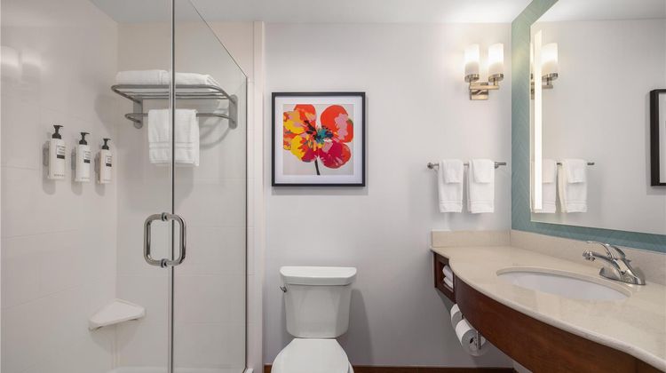 Hilton Garden Inn Bettendorf/Quad Cities Room