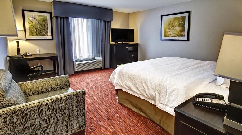 <b>Hampton Inn and Suites Ada Room</b>. Images powered by <a href="https://iceportal.shijigroup.com/" title="IcePortal" target="_blank">IcePortal</a>.