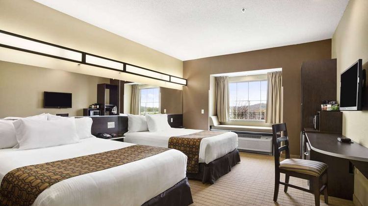 Microtel Inn & Suites Cambridge Room