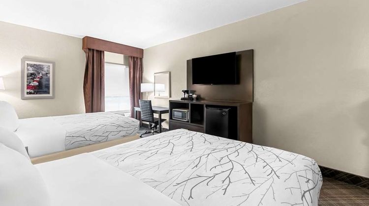 Best Western Boerne Inn & Suites Room