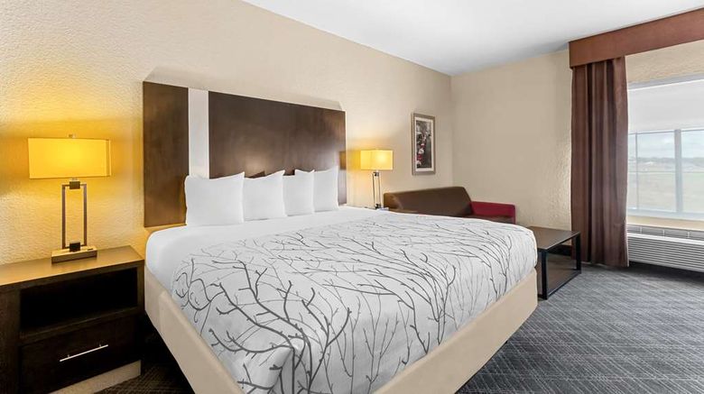 <b>Best Western Boerne Inn & Suites Room</b>. Images powered by <a href="https://iceportal.shijigroup.com/" title="IcePortal" target="_blank">IcePortal</a>.