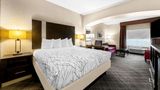 Best Western Boerne Inn & Suites Suite