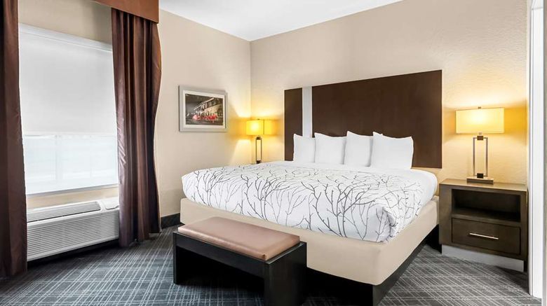<b>Best Western Boerne Inn & Suites Suite</b>. Images powered by <a href="https://iceportal.shijigroup.com/" title="IcePortal" target="_blank">IcePortal</a>.