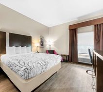 Best Western Boerne Inn & Suites Room