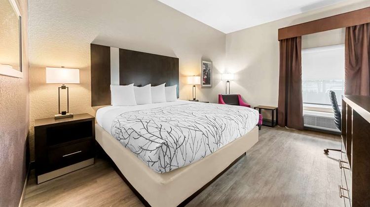 Best Western Boerne Inn & Suites Room