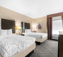 Best Western Boerne Inn & Suites Room