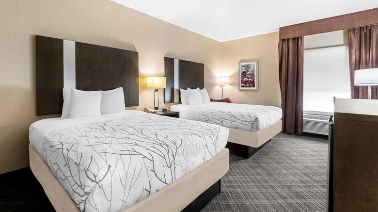 <b>Best Western Boerne Inn & Suites Room</b>. Images powered by <a href="https://iceportal.shijigroup.com/" title="IcePortal" target="_blank">IcePortal</a>.
