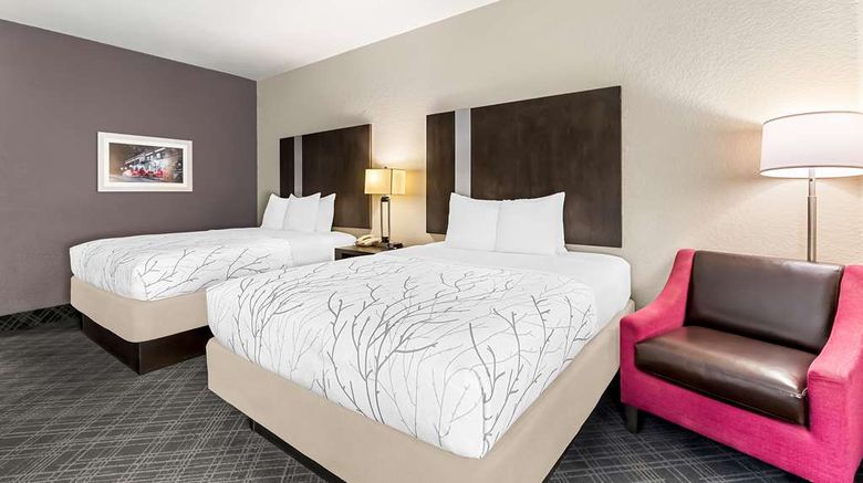 <b>Best Western Boerne Inn & Suites Room</b>. Images powered by <a href="https://iceportal.shijigroup.com/" title="IcePortal" target="_blank">IcePortal</a>.