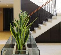 Howard Johnson Funes Lobby