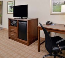 Hampton Inn & Suites Hutto Room