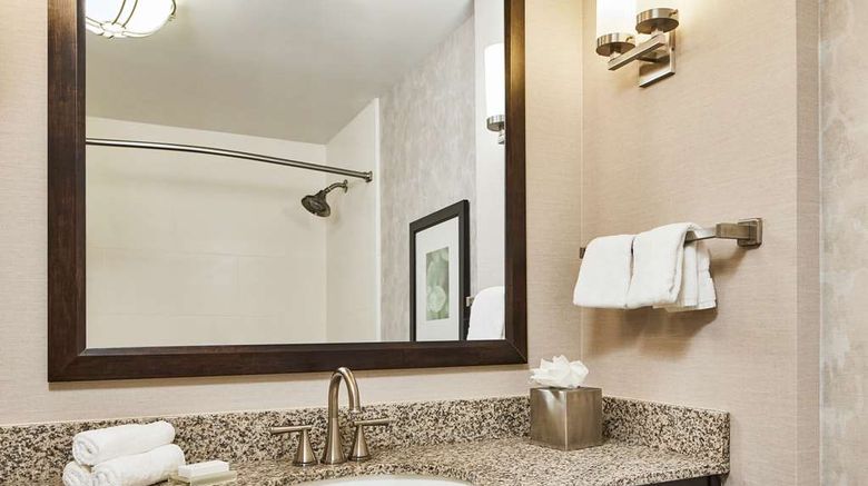 <b>Hilton Garden Inn Nashville Downtown Room</b>. Images powered by <a href="https://iceportal.shijigroup.com/" title="IcePortal" target="_blank">IcePortal</a>.