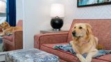 Home2 Suites Buff Airport/Galleria Mall Other