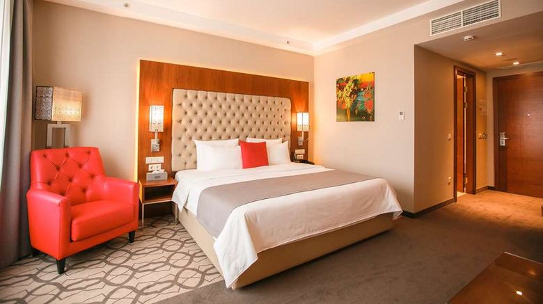 <b>Ramada Plaza Voronezh City Centre Suite</b>. Images powered by <a href="https://iceportal.shijigroup.com/" title="IcePortal" target="_blank">IcePortal</a>.