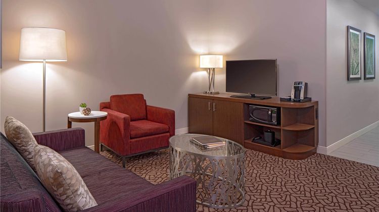 Hilton Garden Inn Downtown Dallas Other