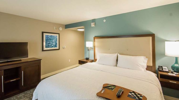 Hampton Inn & Suites Orlando at SeaWorld Other
