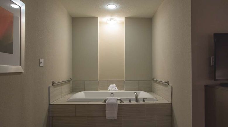 <b>Hilton Garden Inn Bolingbrook I-55 Room</b>. Images powered by <a href="https://iceportal.shijigroup.com/" title="IcePortal" target="_blank">IcePortal</a>.