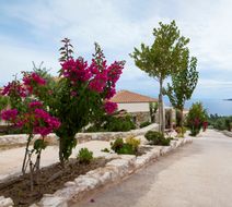 Camvillia Resort Exterior