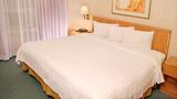<b>Travohotel Monterrey Historico Room</b>. Images powered by <a href="https://iceportal.shijigroup.com/" title="IcePortal" target="_blank">IcePortal</a>.