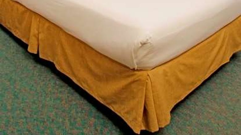 <b>Travohotel Monterrey Historico Room</b>. Images powered by <a href="https://iceportal.shijigroup.com/" title="IcePortal" target="_blank">IcePortal</a>.