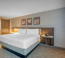 Hilton Garden Inn Boston Logan Airport Room