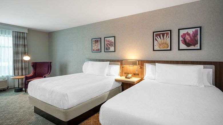 <b>Hilton Garden Inn Boston Logan Airport Room</b>. Images powered by <a href="https://iceportal.shijigroup.com/" title="IcePortal" target="_blank">IcePortal</a>.