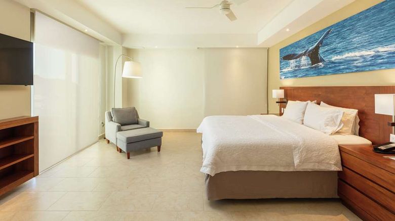 <b>Hampton Inn & Suites Los Cabos Other</b>. Images powered by <a href="https://iceportal.shijigroup.com/" title="IcePortal" target="_blank">IcePortal</a>.