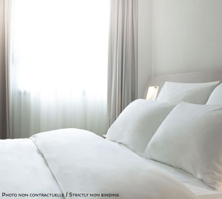 Ibis Bacabal Room