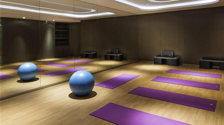 <b>Pullman Nanjing Lukou Airport Health</b>. Images powered by <a href="https://iceportal.shijigroup.com/" title="IcePortal" target="_blank">IcePortal</a>.