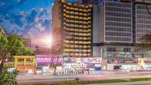 Hotel Dann Avenida 19