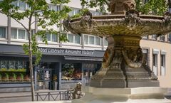 Hotel Litteraire Alexandre Vialatte