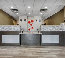 Best Western Plus Tech Medical Ctr Inn Lobby