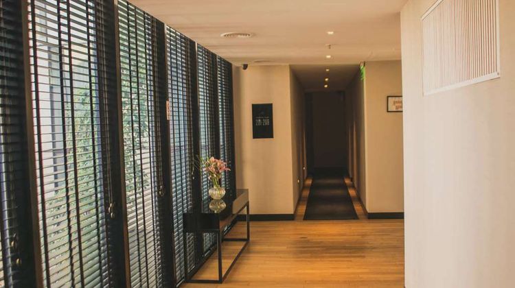 Anselmo Buenos Aires, Curio Collection Other