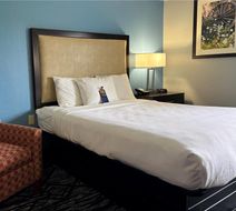 Baymont Inn & Suites Litchfield Room