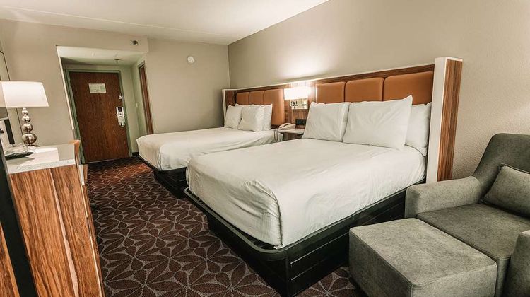Wyndham Garden Busch Gardens Room