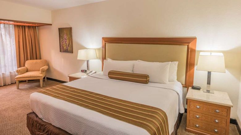 <b>Wyndham Garden Guadalajara Expo Room</b>. Images powered by <a href="https://iceportal.shijigroup.com/" title="IcePortal" target="_blank">IcePortal</a>.