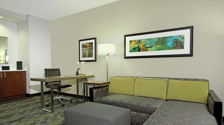 <b>Embassy Suites Pittsburgh Downtown Other</b>. Images powered by <a href="https://iceportal.shijigroup.com/" title="IcePortal" target="_blank">IcePortal</a>.