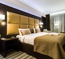 Dnister Premier Hotel Room